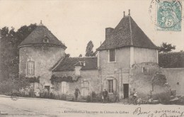 CPA PIONNIERE MONETEAU (Yonne) - Les Restes Du Chateau De Colbert - Moneteau