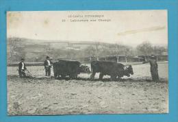 CPA 15 - LE CANTAL PITTORESQUE - Paysans Laboureurs Aux Champs Charrues - Autres & Non Classés