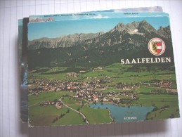 Oostenrijk Österreich Salzburg Saalfelden An Steinernen Meer Panorama - Saalfelden