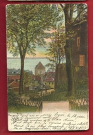 FXA-19 Souvenir De Nyon. Précurseur. Cachet 1906 - Nyon