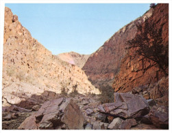 (368) Australia - NT - Ormiston Gorge - The Red Centre