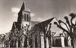 BRUYERES LE CHATEL  - L'Eglise - Bruyeres Le Chatel