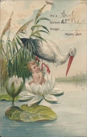 Postcard RA005193 - Greeting Card "Newborn Baby" - Nacimientos