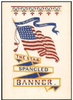 USA: Intero, Stationery, Entier, Bandiera, Flag, Drapeau, 2 Scan - Covers