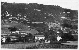 VUE GENERALE - Ruffieux