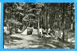 GGE079, Camp VD 8, Pointe D'Yvonand, Camping, Animée,  Circulée 1953 - Yvonand