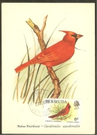 BERMUDES Carte Maximum - Cardinal Rouge - Bermuda