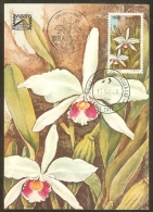 BRESIL Carte Maximum - Laelia Purpurata - Cartes-maximum