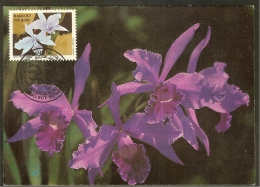 BRESIL Carte Maximum - Laelia Lobota Veitch - Tarjetas – Máxima