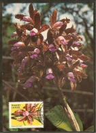 BRESIL Carte Maximum - Cattleya Guttata - Tarjetas – Máxima