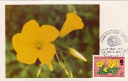 GB.GUERNESEY Carte Maximum - Oxalis Pes-Caprae - Guernesey