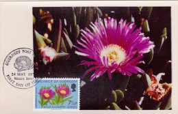 GB.GUERNESEY Carte Maximum - Carpobrotus Edulis - Guernsey