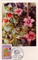 GB.GUERNESEY Carte Maximum - Anagallis Arvensis - Guernesey