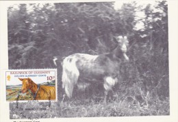 GB.GUERNESEY Carte Maximum - Les Chèvres Dorées - Guernesey