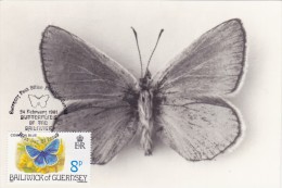 GB.GUERNESEY Carte Maximum - Lysandra Bellargus - Guernesey