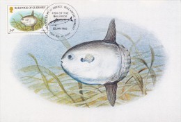 GB.GUERNESEY Carte Maximum - Mola Mola - Guernesey