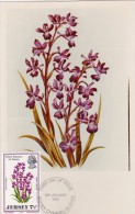 GB.JERSEY Carte Maximum - Orchia Laxiflora - Jersey