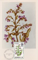 GB.JERSEY Carte Maximum - Echium Plantagineum - Jersey