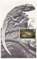 GB.JERSEY Carte Maximum - Sphenodon - Jersey