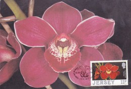 GB.JERSEY Carte Maximum - Cymbidium Pontac - Jersey