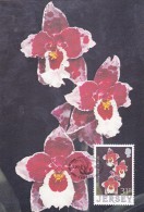 GB.JERSEY Carte Maximum - Odontoglossum - Jersey