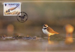 GB.JERSEY Carte Maximum - Charadrius Hiaticula - Jersey