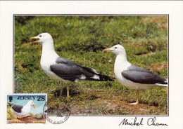 GB.JERSEY Carte Maximum - Larus Fuscus - Jersey