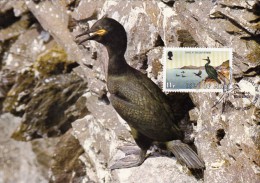 GB.MAN Carte Maximum - Phalacrocorax - Isle Of Man