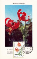 GRECE Carte Maximum - Lilium Heldreichii - Maximum Cards & Covers