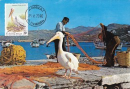 GRECE Carte Maximum - Pelecanus Onocrotalus - Maximumkarten (MC)