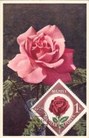 HONGRIE Carte Maximum - Roses - Cartes-maximum (CM)