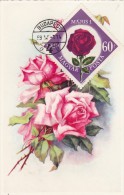 HONGRIE Carte Maximum - Roses - Cartes-maximum (CM)