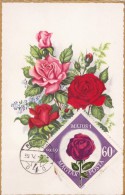 HONGRIE Carte Maximum - Roses - Cartes-maximum (CM)