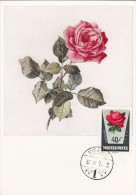 HONGRIE Carte Maximum - Roses - Cartes-maximum (CM)