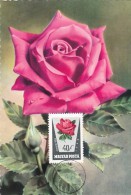 HONGRIE Carte Maximum - Roses - Maximumkarten (MC)