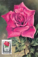 HONGRIE Carte Maximum - Roses - Cartes-maximum (CM)