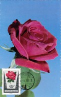 HONGRIE Carte Maximum - Roses - Cartes-maximum (CM)