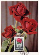 HONGRIE Carte Maximum - Roses - Cartes-maximum (CM)