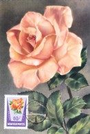 HONGRIE Carte Maximum - Roses - Cartes-maximum (CM)