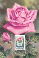 HONGRIE Carte Maximum - Roses - Maximumkaarten