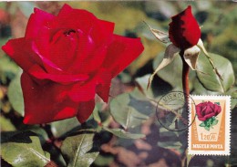 HONGRIE Carte Maximum - Roses - Cartes-maximum (CM)