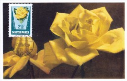 HONGRIE Carte Maximum - Roses - Cartes-maximum (CM)