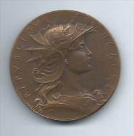 Médaille/République Française/ Ministre De La Guerre/Concours De Tir/Vers   MED30 - Professionnels / De Société