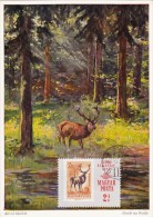 HONGRIE Carte Maximum - PA N°145, Cerf - Cartoline Maximum