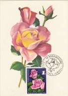 HONGRIE Carte Maximum - Roses - Cartes-maximum (CM)