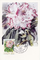 ITALIE Carte Maximum - Rhododendron - Cartoline Maximum