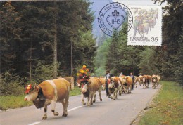 LIECHTENSTEIN Carte Maximum - Descente De L'Alpage - Maximum Cards