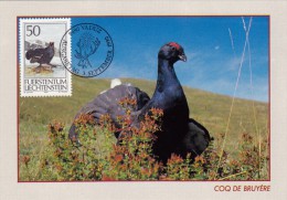 LIECHTENSTEIN Carte Maximum - Coq De Bruyère - Cartoline Maximum