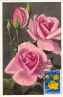 LUXEMBOURG Carte Maximum - Roses - Tarjetas Máxima