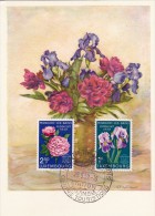 LUXEMBOURG Carte Maximum - Iris Et Pivoine - Maximum Cards